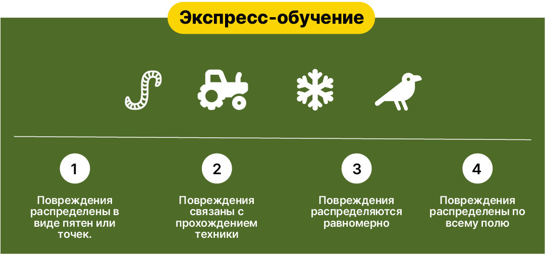 Экспресс-обучение