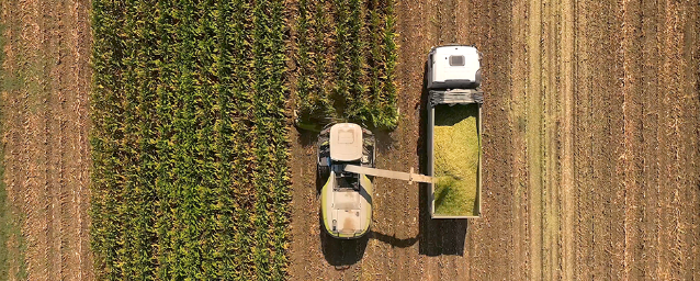 Техническое совещание 1