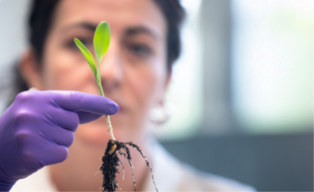 Техническое совещание