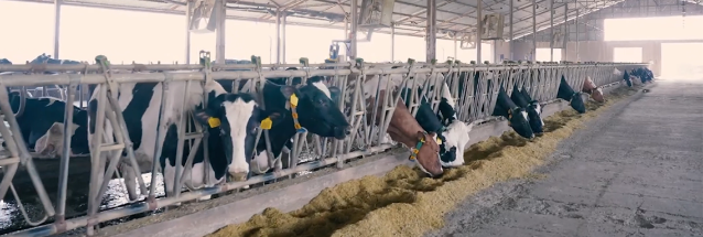 Техническое совещание 1