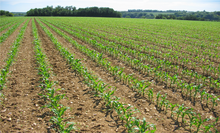 Соберите информацию об участках 