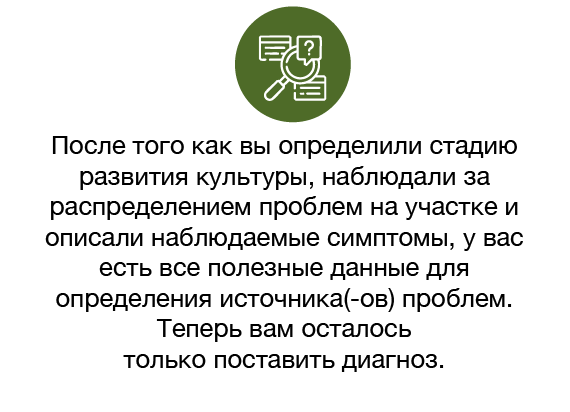 Диагностика