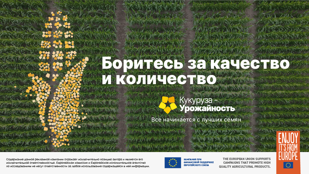 Техническое совещание