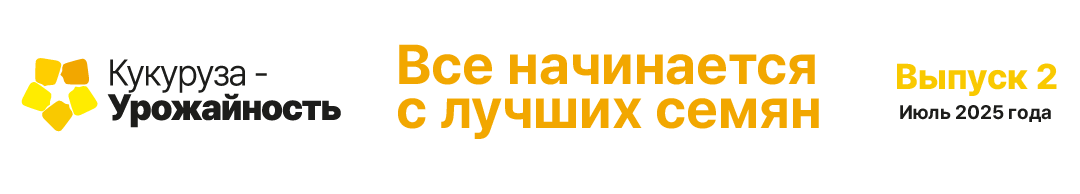 Техническое совещание