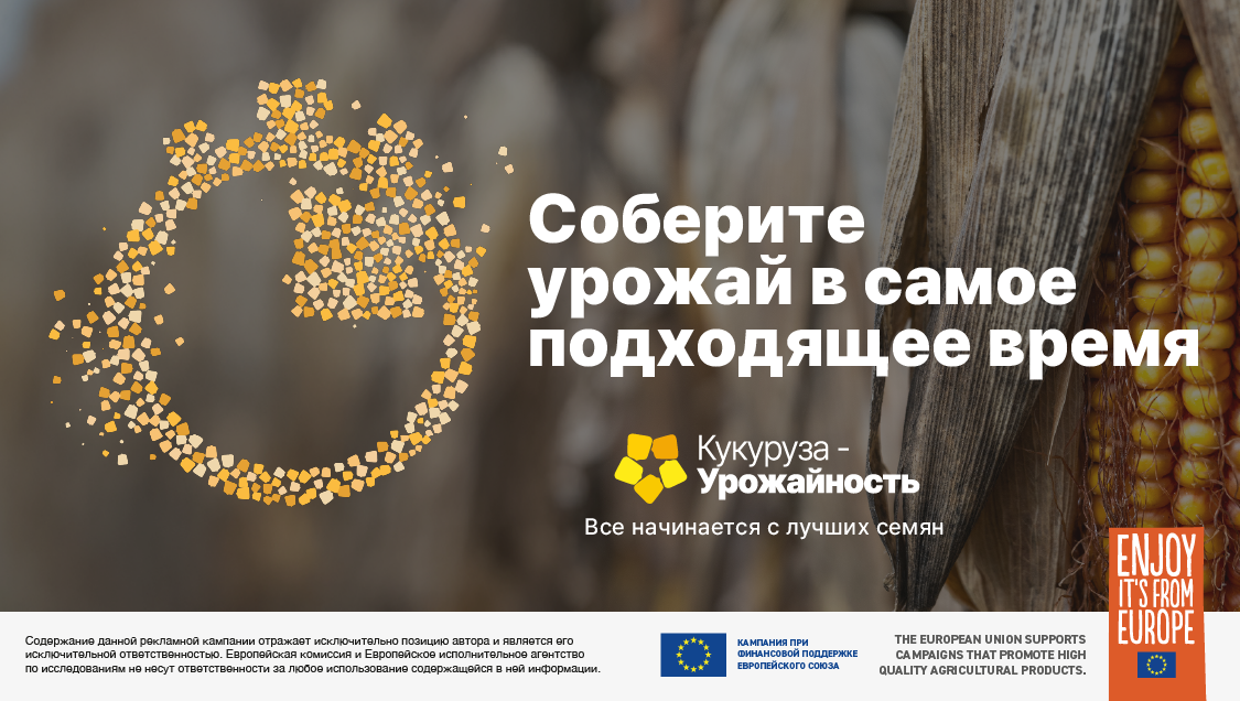 Техническое совещание