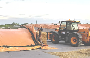 Размер и герметичность силосной траншеи — два ключевых фактора успешного хранения