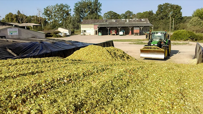 Размер и герметичность силосной траншеи — два ключевых фактора успешного хранения