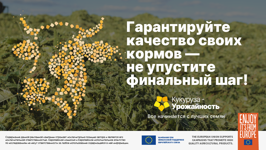 Техническое совещание