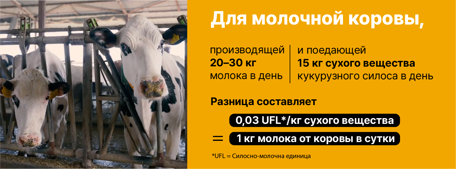 Техническое совещание 1