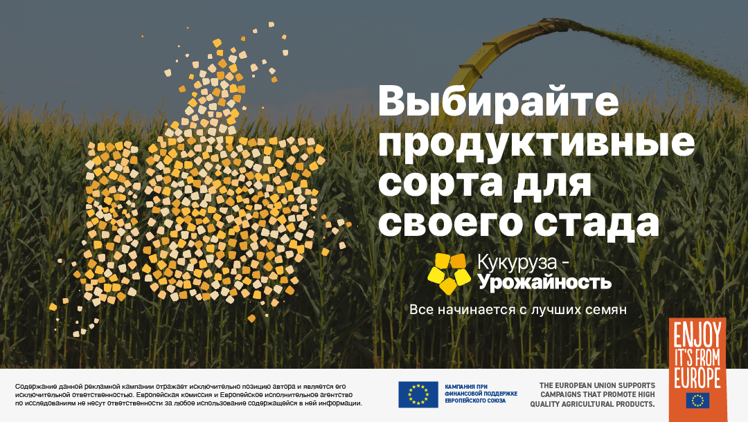 Техническое совещание 1