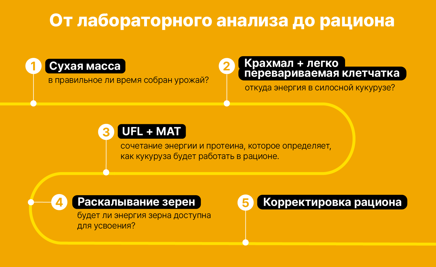 Техническое совещание 7