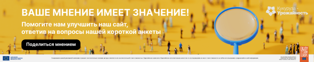 Поделиться мнением