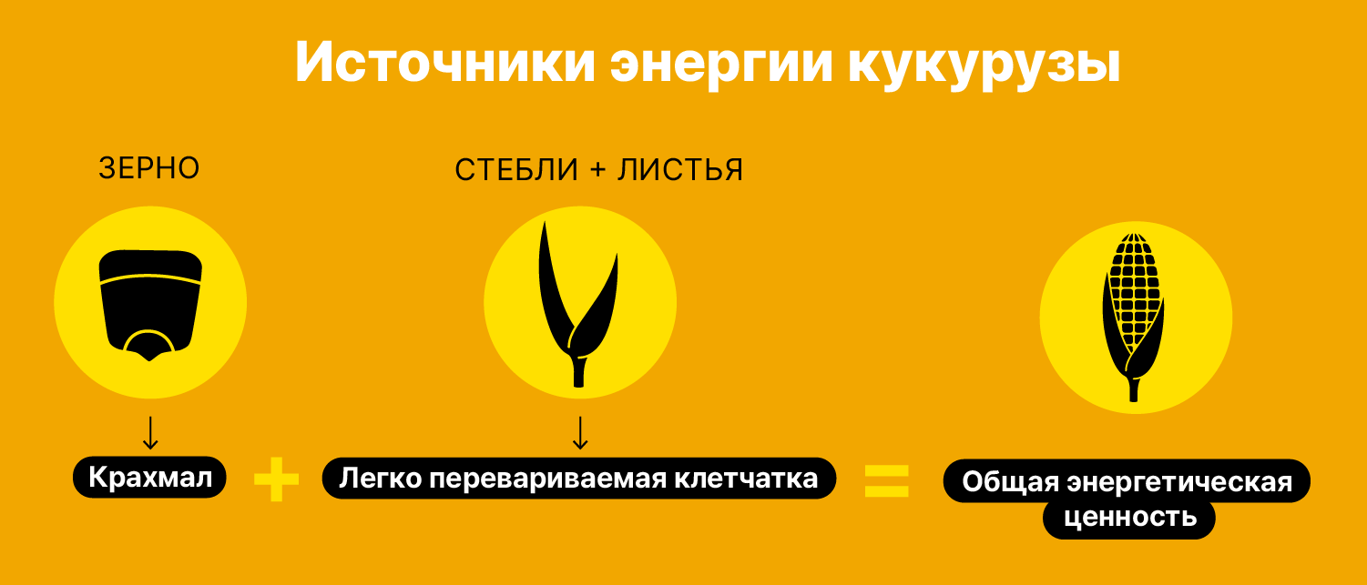 energie-mais-RU@2x
