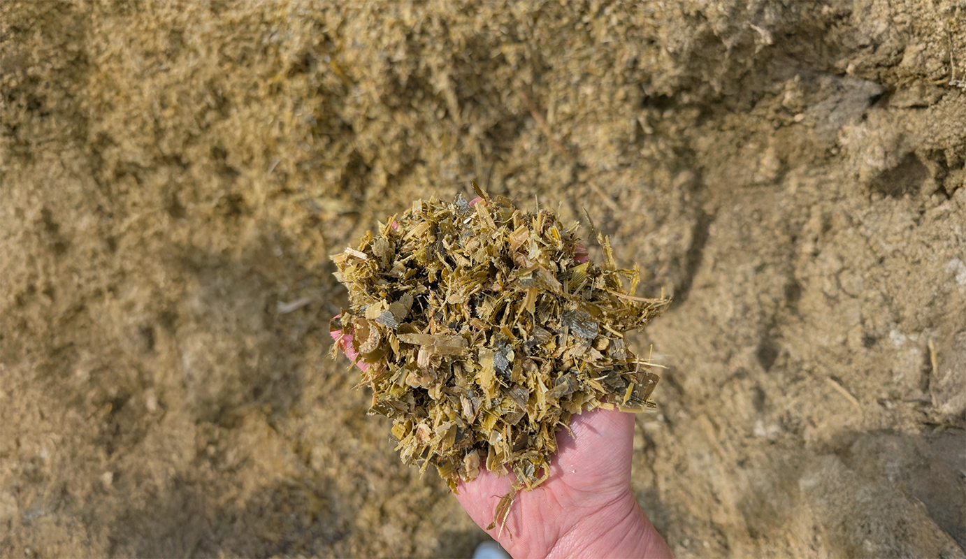 Etapes pour analyser le maïs ensilage.